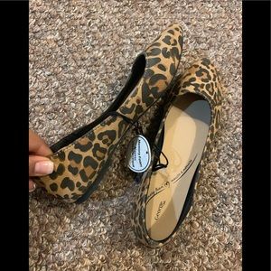 Animal print sandals, size 5.5. Never worn
